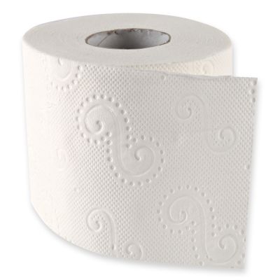 Toilettenpapier 3-lagig auf Kleinrolle aus Zellulose - Karton mit 96 Rollen (12x8 Rollen)