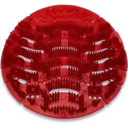 Urinalsieb, Duft: Cherry Bomb, einzeln verpackt, 12er Packung, Einzelpreis 2,49 €